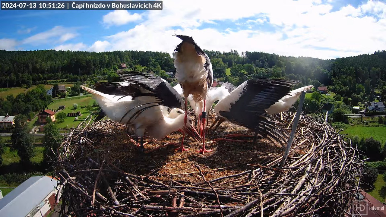 Tiešraidē no uzņēmuma KARA stārķa skursteņa Bohuslavicē pie Trutnovas 15-52-1 screenshot