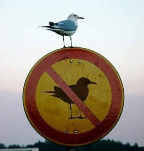 [Linked Image]