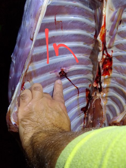 IMG_20201017_213115646-1~2