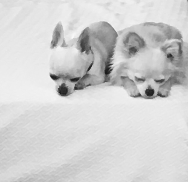 C1D862B5-E5A9-4CDF-A7E2-1DF7EBDC50A6