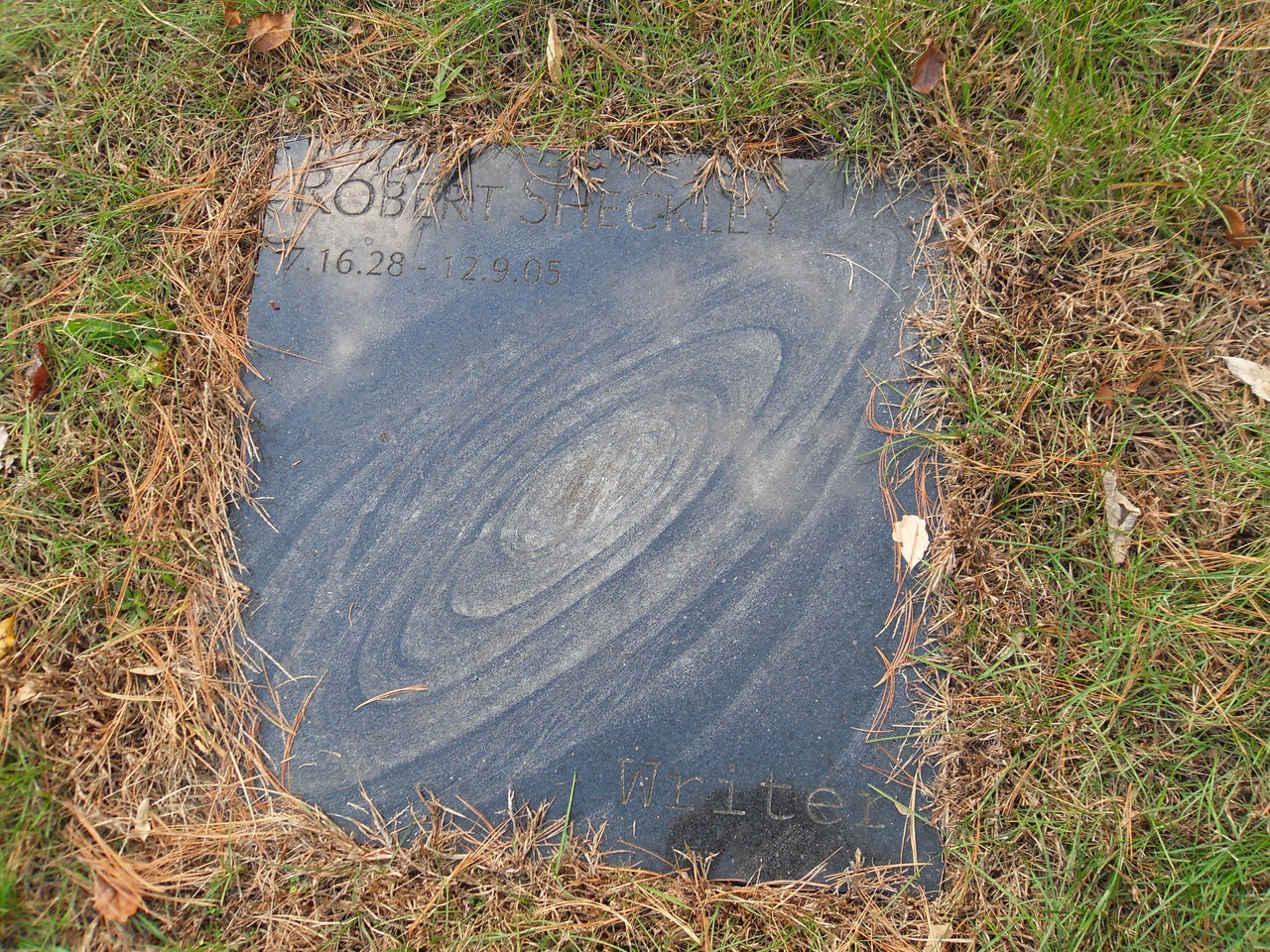 100240037-135215367271