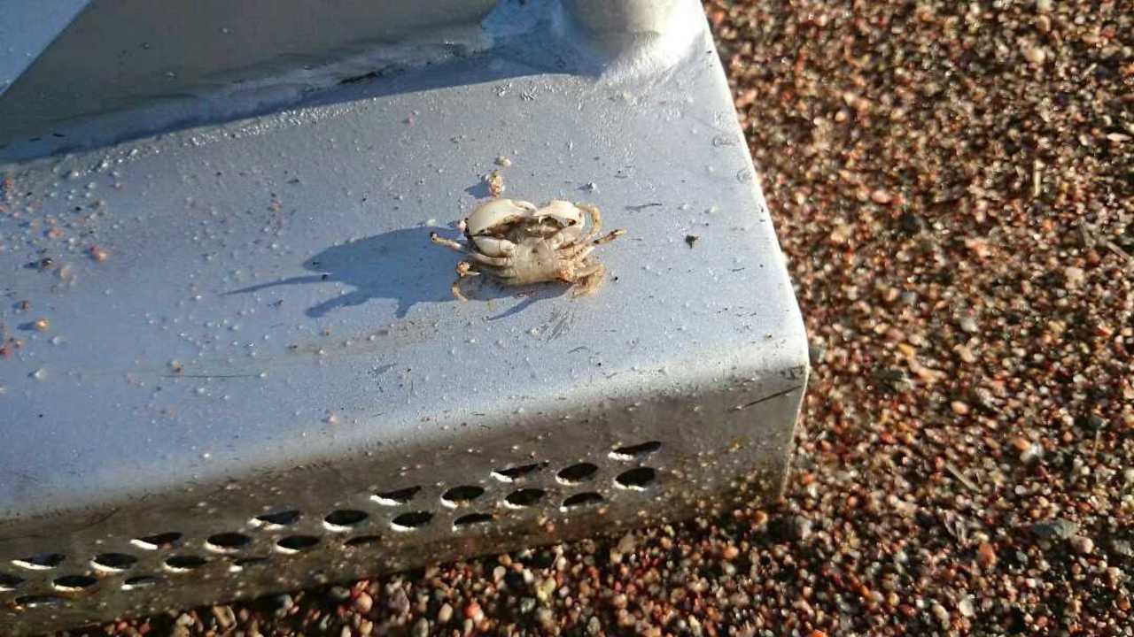 44243575191381__1080x608-RGB_565-1997427330