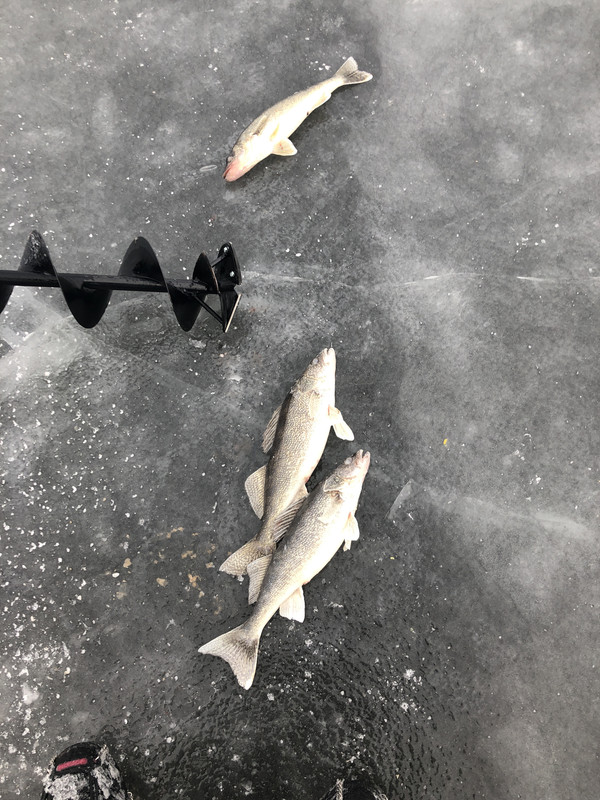 2718514C-EA07-40A3-AF38-26D91944AE19