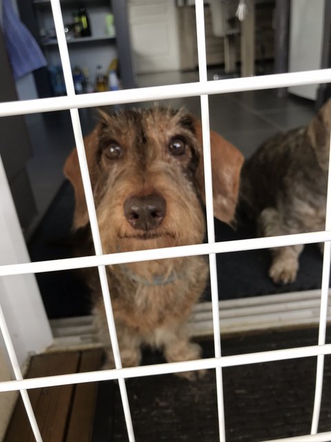 [Image: 87914615-89-A7-42-B8-A083-273-C72-B9248-D.jpg]