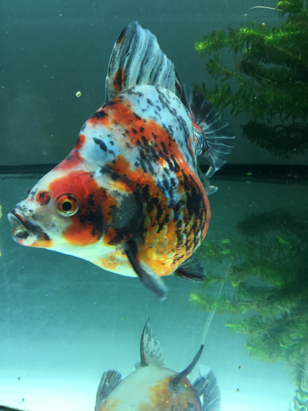 6B67EF77-4902-4BE3-B419-444055C198B1