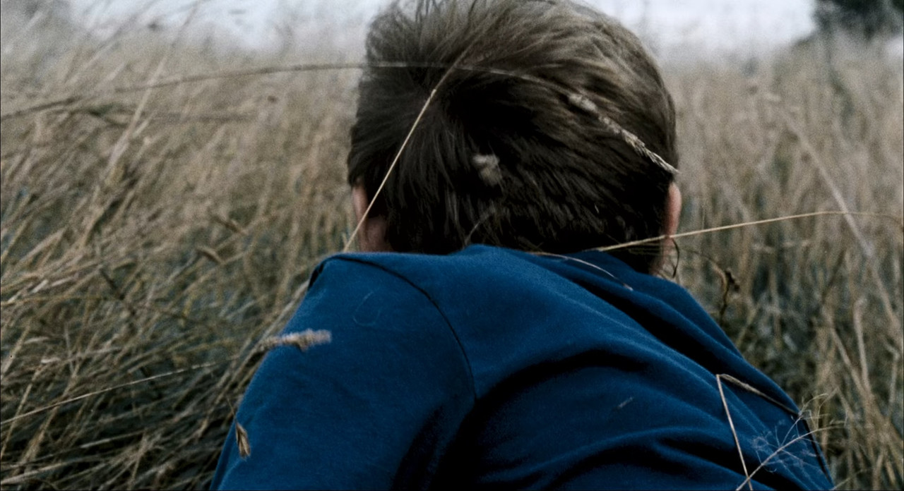 28 Weeks Later 2007 (1080p x265 10bit Tigole).mk