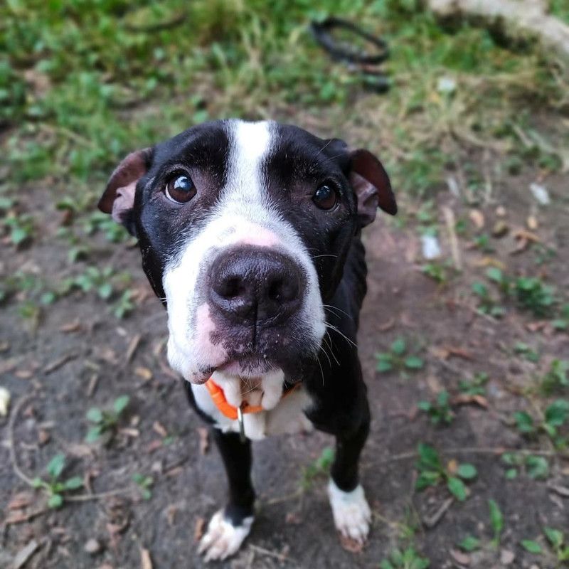 8BC5D00F-DFA0-47CE-8BB3-48DBF3790166