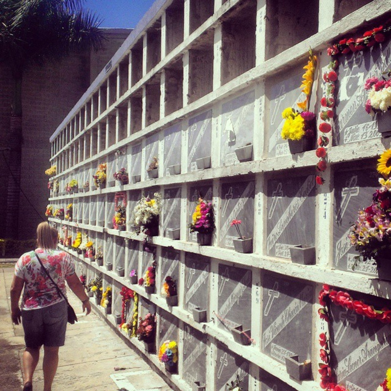 Desaparecen mil cuerpos de un cementerio en Bucaramanga, Colombia