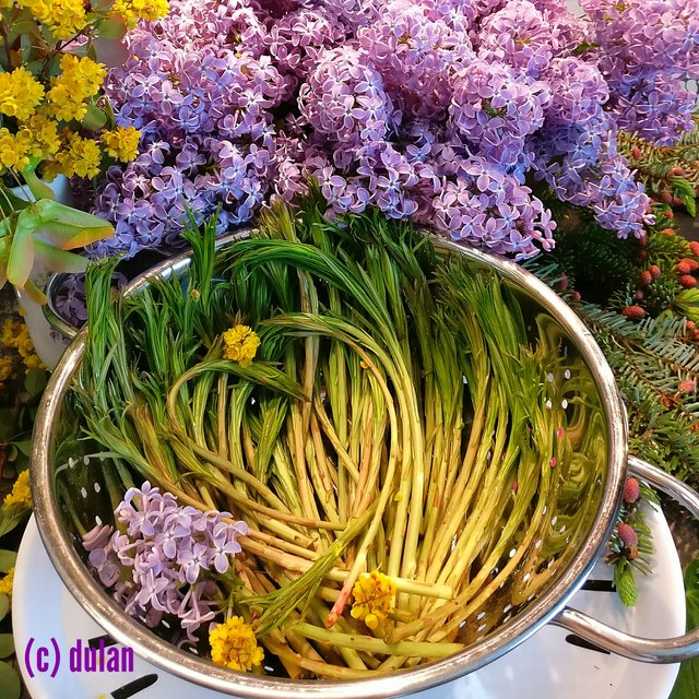 [Image: IMG-20240526-180238.jpg]