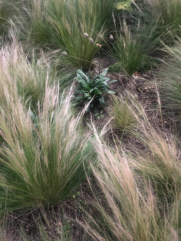 5E9B106F-4610-403F-9253-E1EEBB1F8758