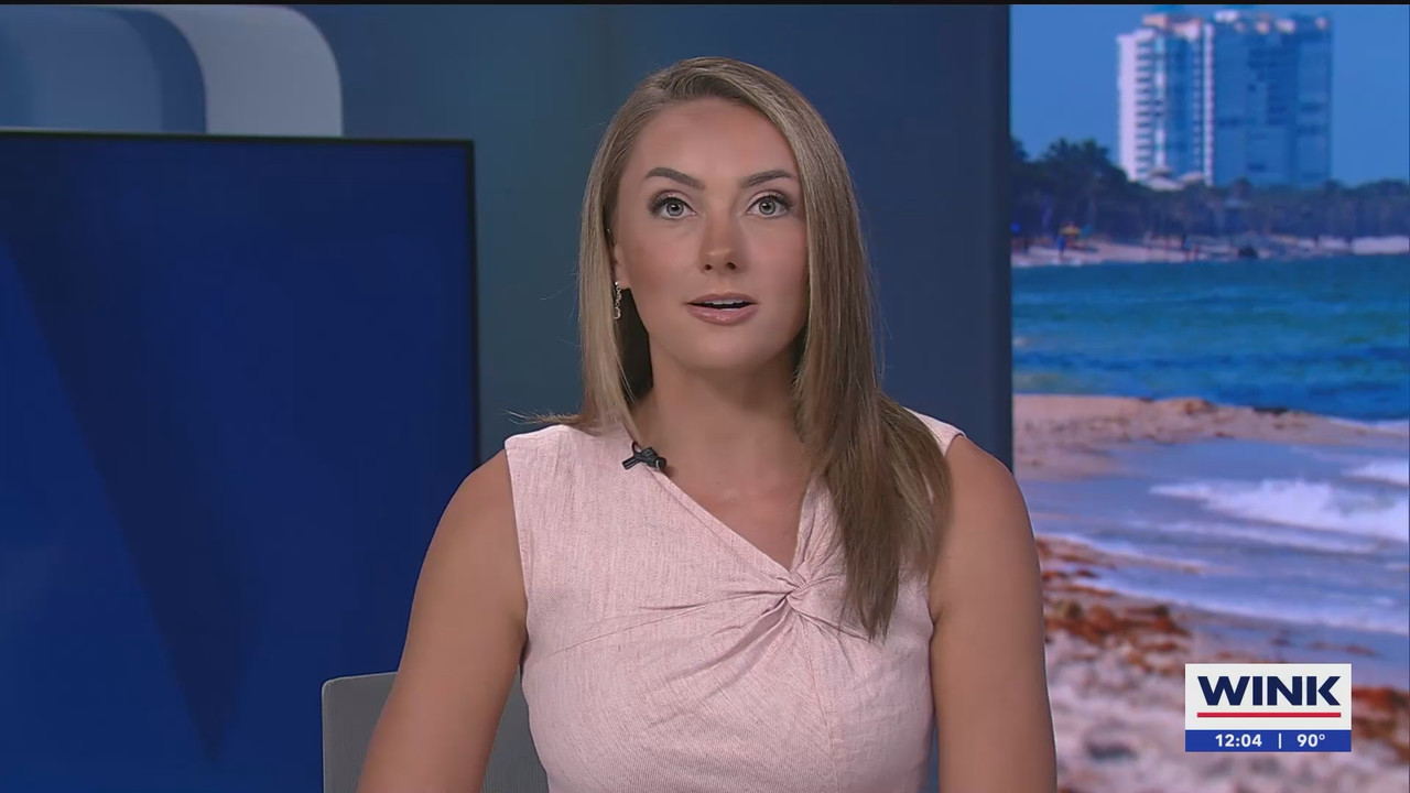 08.13 - 17.00.00 - The WINK Noon News  ᴺᵉʷ. Midday news update..ts_snapshot_10.54.577