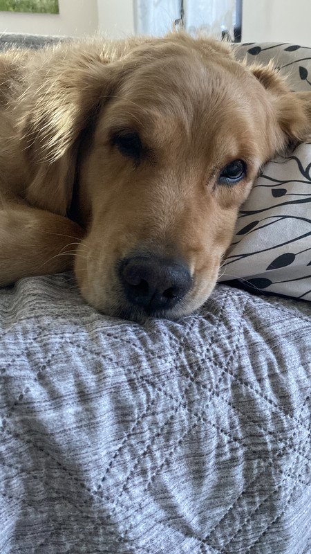 2BF2FC0D-8B97-4763-804E-F6DC18240B2C