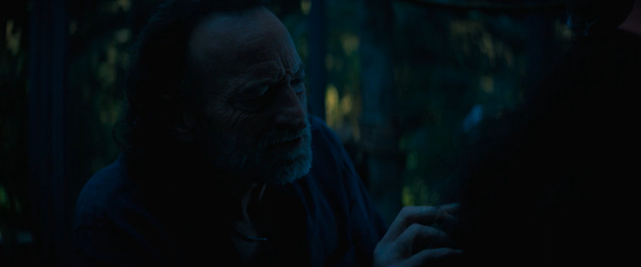 Primate 2026 WebRip [Hindi + English] 480p, 720p ESub Screenshot