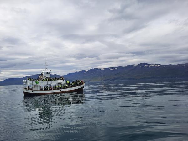 Generalidades: vuelo, coche y las preguntas clásicas. - CONSTRUYENDO: Islandia increíble en 11 días. (4)