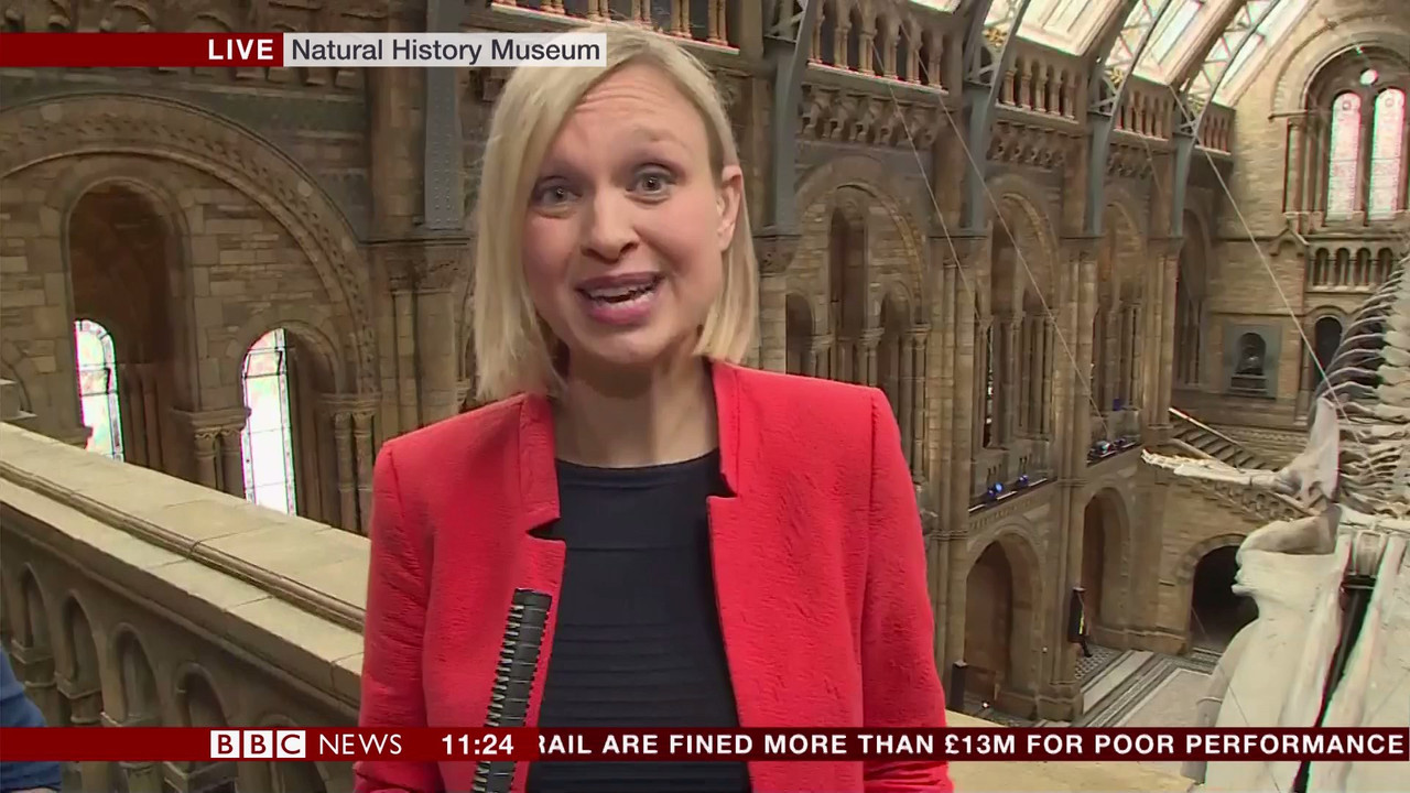 BBC Newsroom Live_20170713_11001130.ts_snapshot_