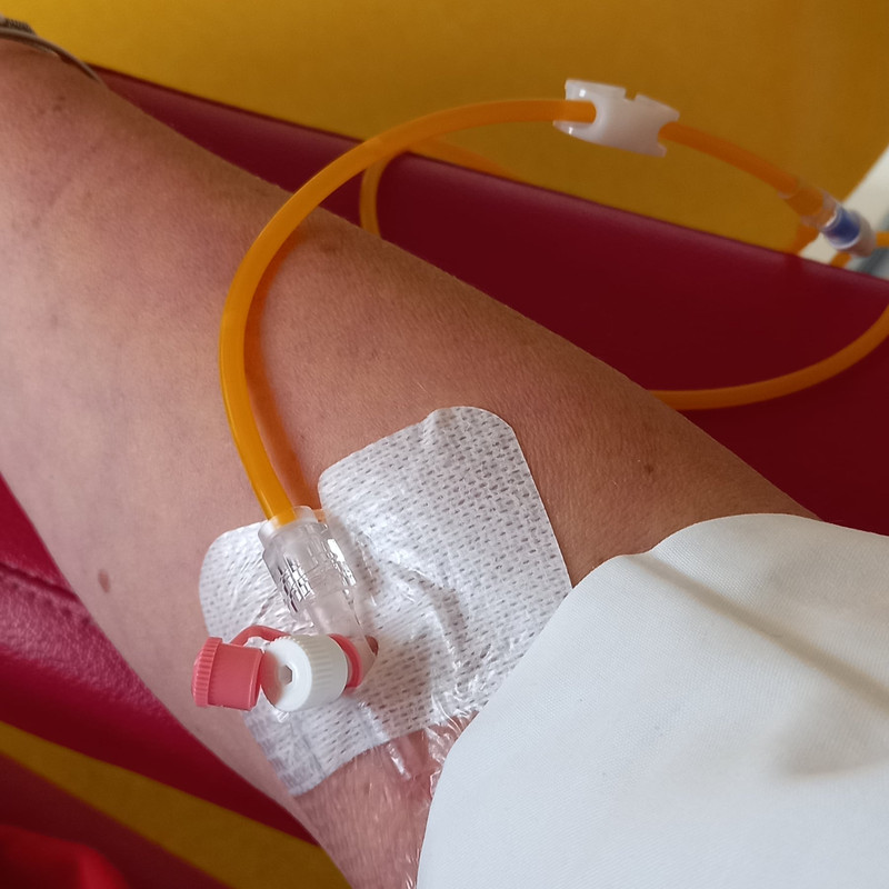 IMG_20220624_145145_349