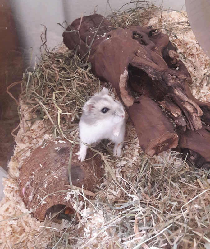 IMG_20180214_121655_842