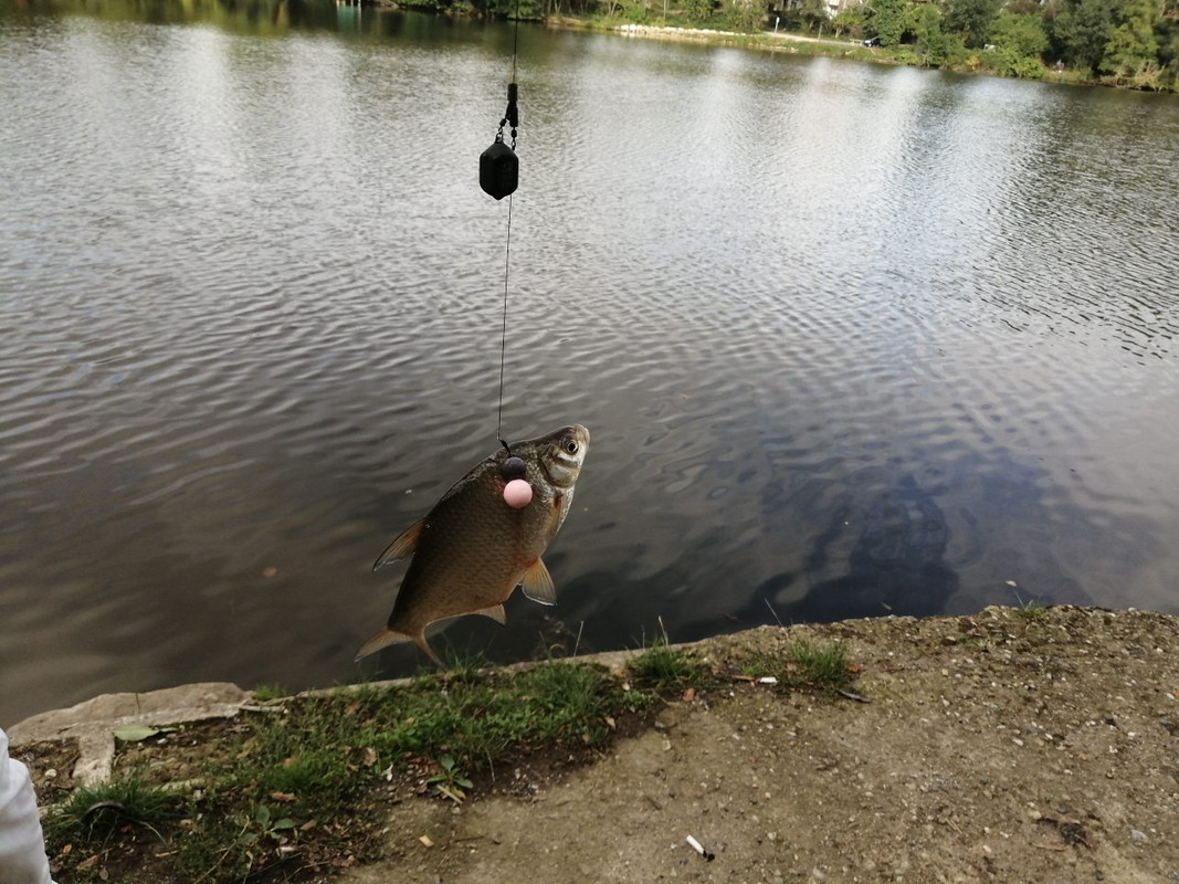 IMG-b2700a73f3e508139a163f5e22666b37-V-1