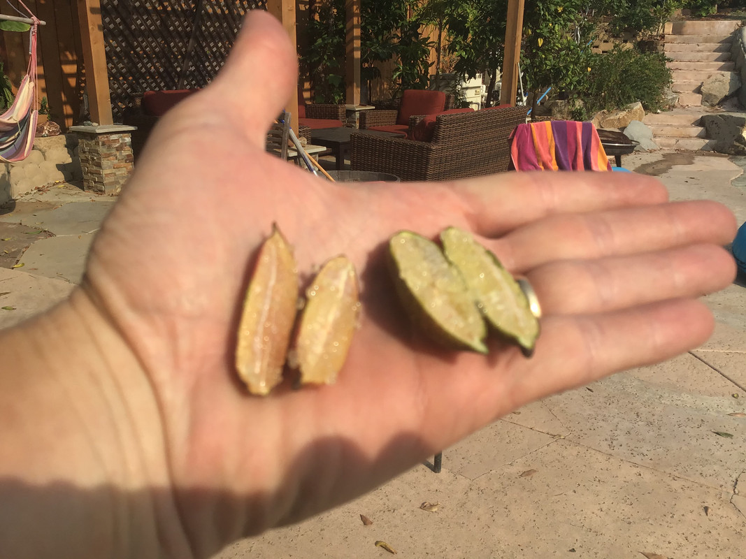 36E199CF-C126-4064-AE30-388FC3B55EEA