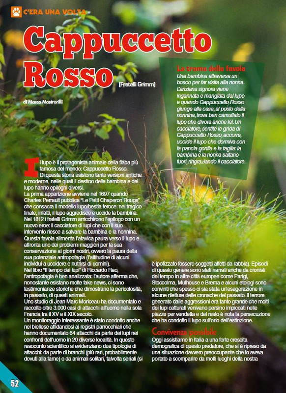 Foc Wil - Lug 2023 (7)