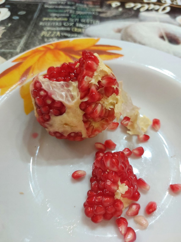 0-02-05-f2f57079fe3cff9d74d67188752da7b74bb081a1c9a484d7df7e74ae79ed3186_23e69fd3b7a924c5