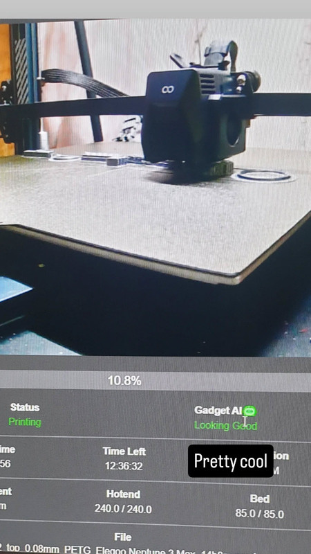 Webcam with AI detection interface