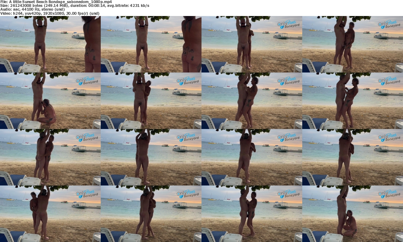 05052024040143screenshot