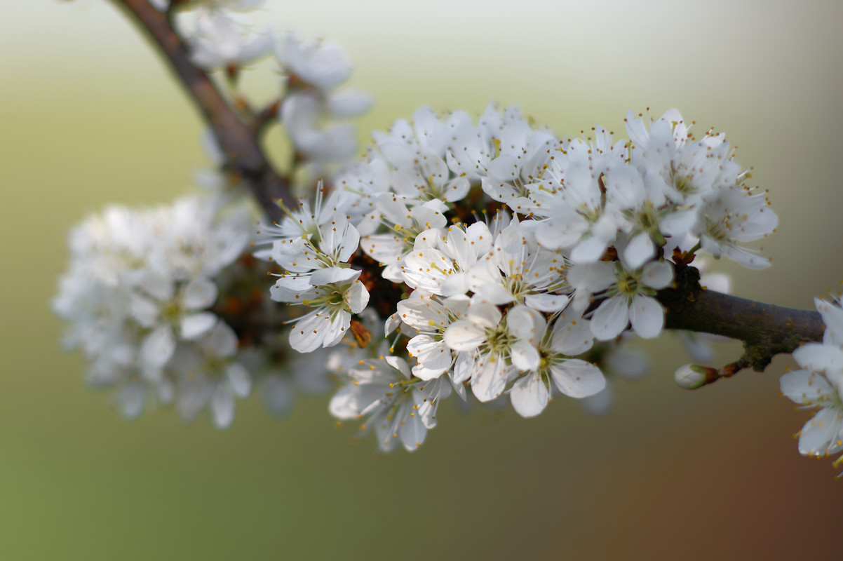 EF06A48E-0F38-4C9E-A445-61DC9858BE5F