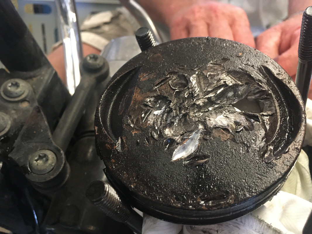 D446C0F3-5D21-4AC4-AF4A-C9F1AB817514