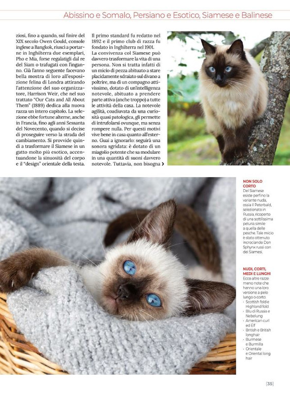 Ga Ma Giu-Lug 2022 (4)