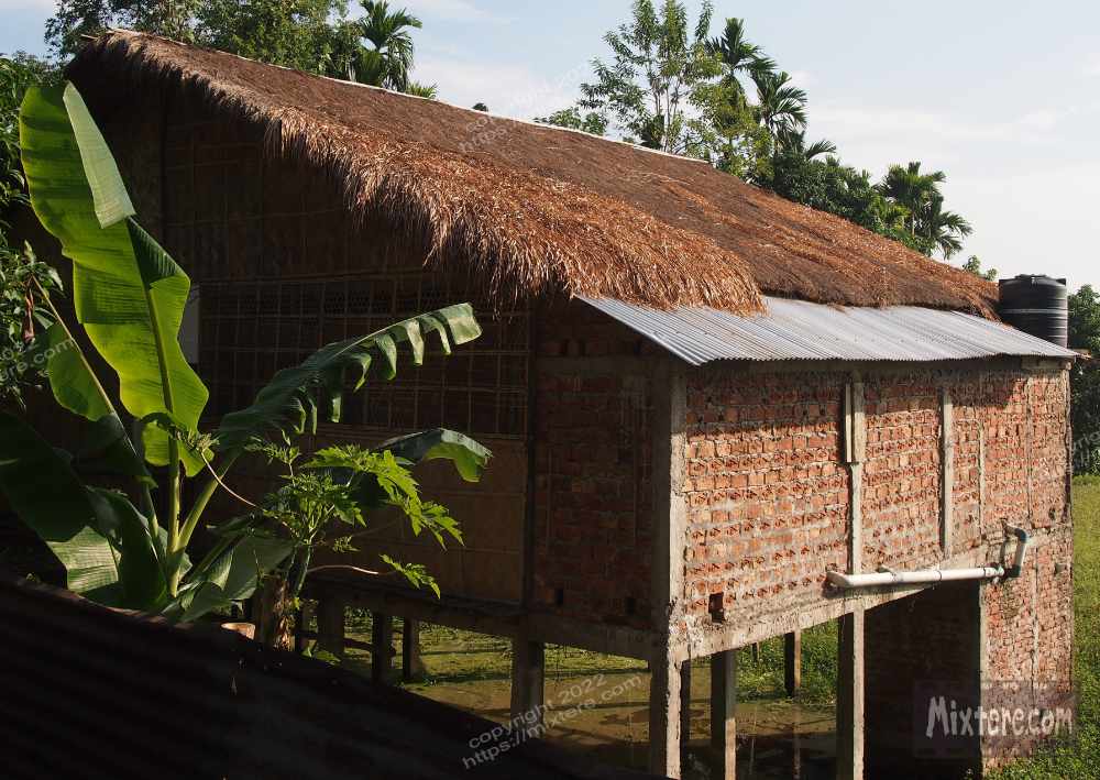 BBG&B20KazirangaAndMajuli - 12