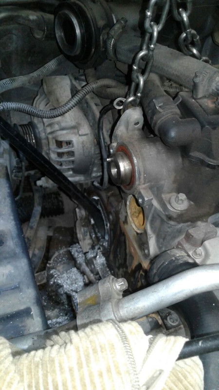 WhatsApp Image 2016-08-04 at 13.18.09