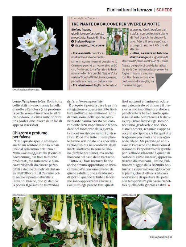 Il Mio Giar GIu-Lug 2024 (4)