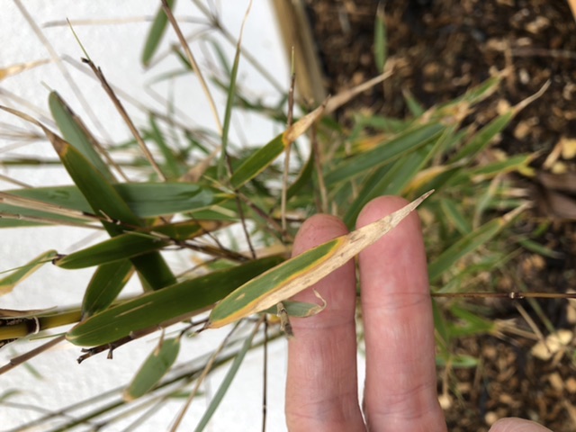 D629ABDD-A8B1-4AFA-B2E7-B46551D5E69E