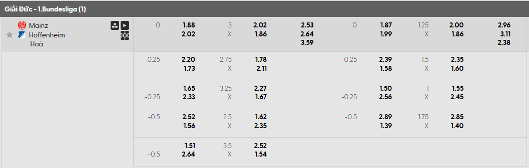 Tỷ lệ kèo Mainz 05 vs Hoffenheim