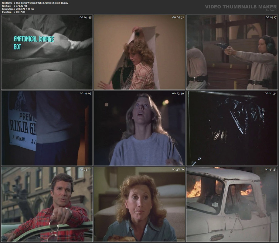 The Bionic Woman S02E10 Jamie's Shield(1).mkv