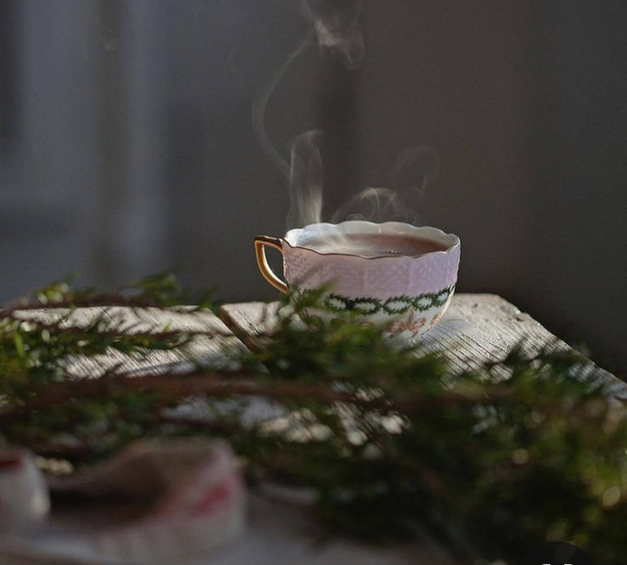 Screenshot_20231122_212007_Pinterest