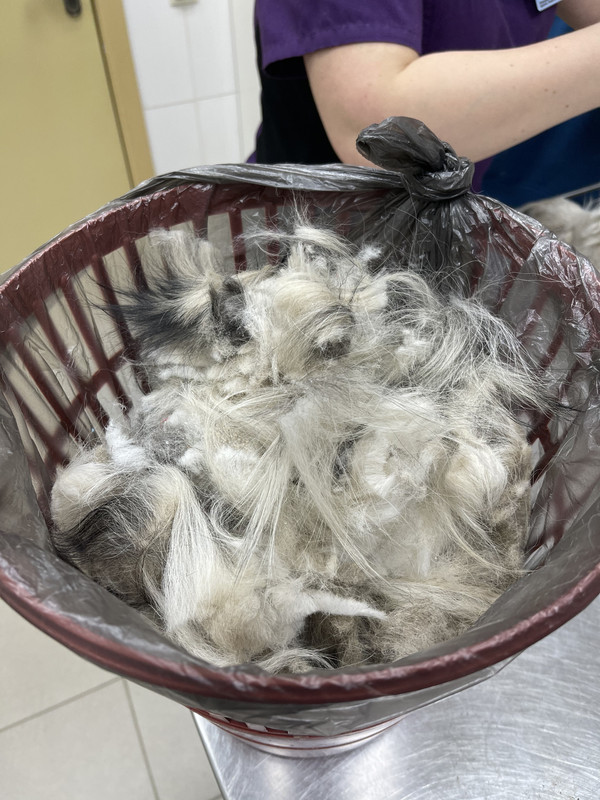 F56BBB67-7058-4B56-956E-2D1A0317B4B4