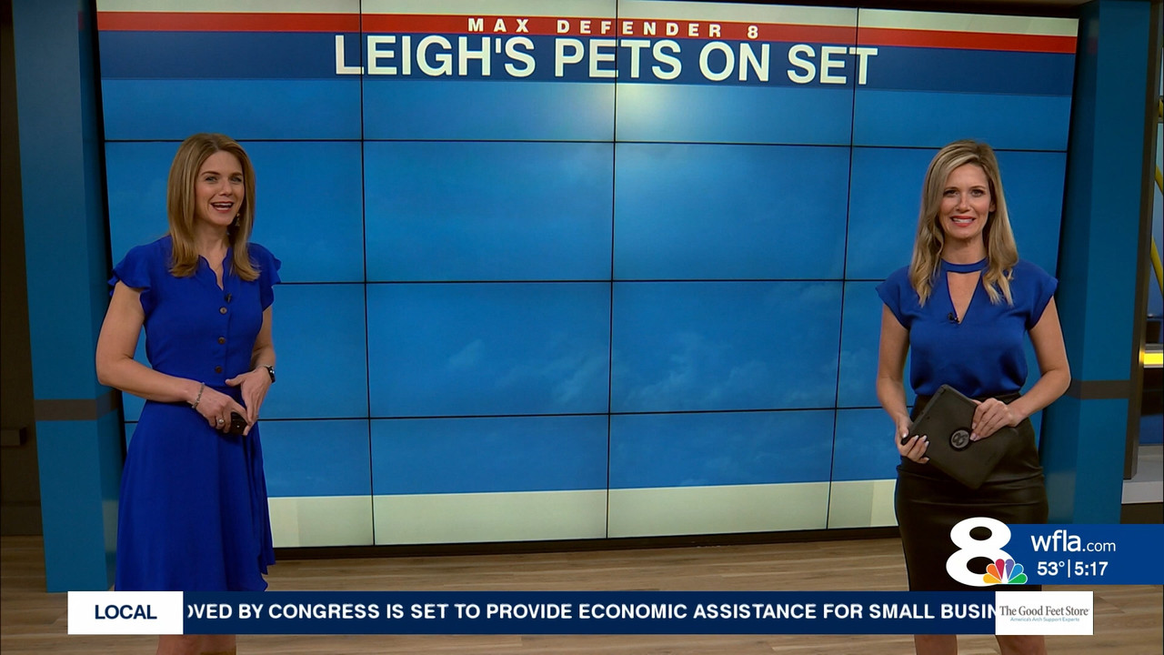 12.23 - 09.30.00 - News Ch8 Today at 4 30AM..ts_snapshot_00.52.52.744