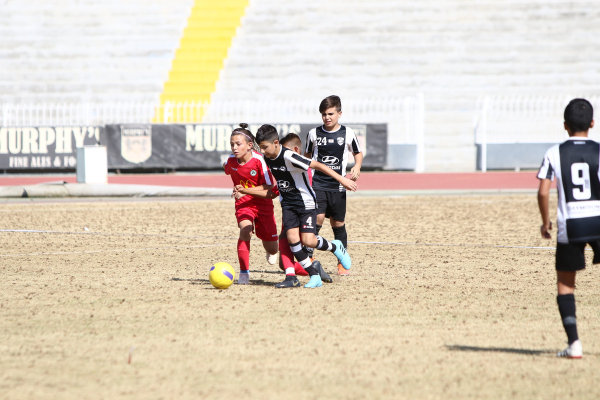 VIK_2370