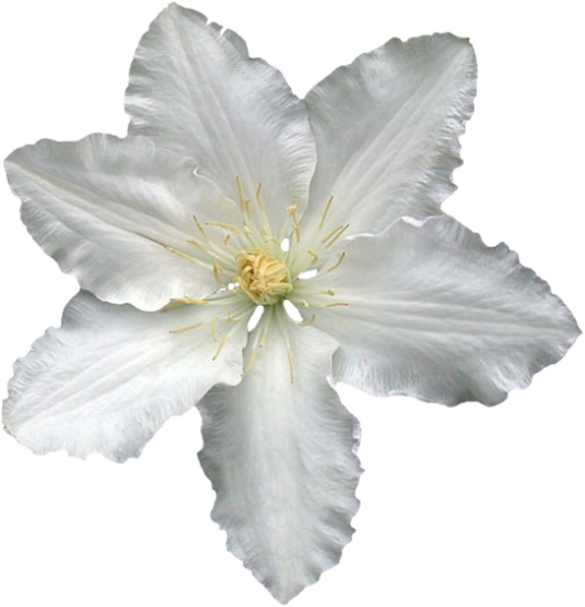 Mariposa_Kit_16