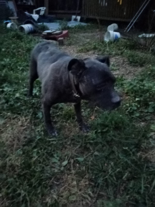 A2A426D0-138E-4148-90C7-3AD1503257E3