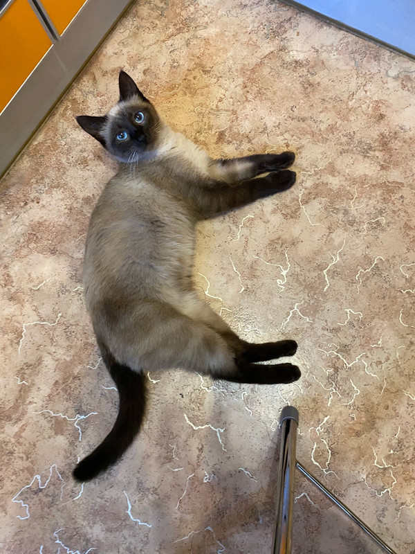 XVoetFCUqAT9L0x1djMQE4o-WTh38gOdokyjB9hT6SRxISg26YxCXFVNMqH62BwWKZk-rihlsZ95vVZyrSIg7CZQ