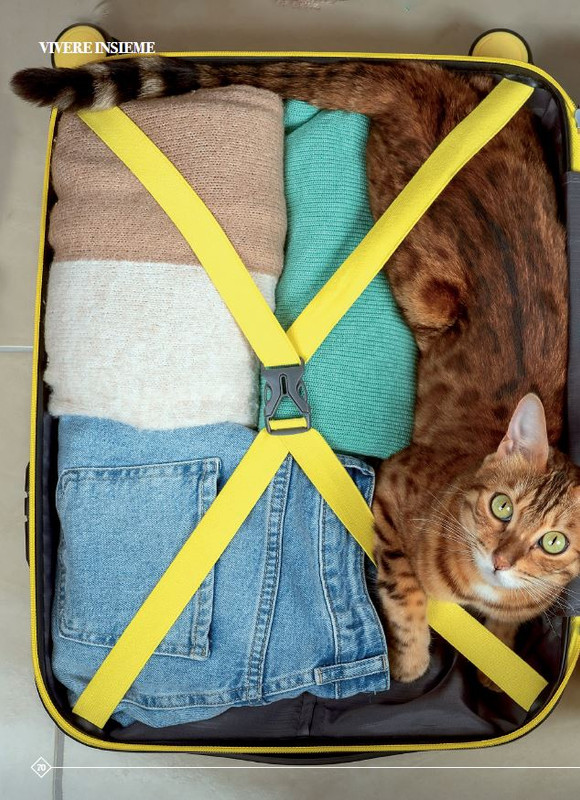 Argos Ago-Set 2023 (11)