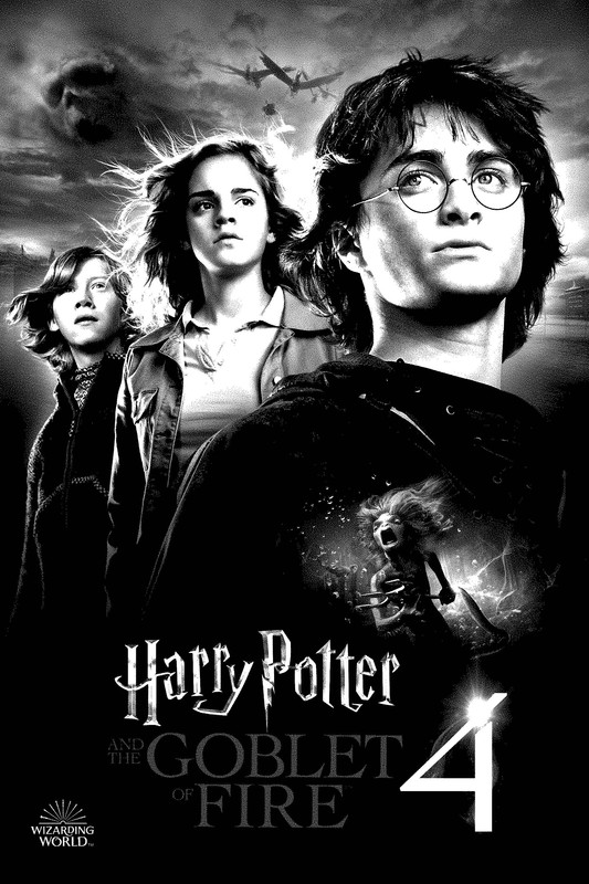 Harry Potter and the Goblet of Fire (2005)