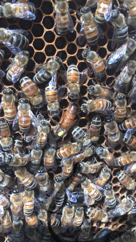 61873943-8747-4B21-A507-3FF6D095BDDC