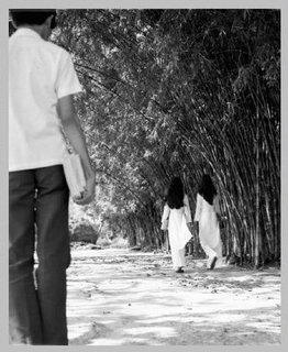 [Image: cung-t10.jpg]