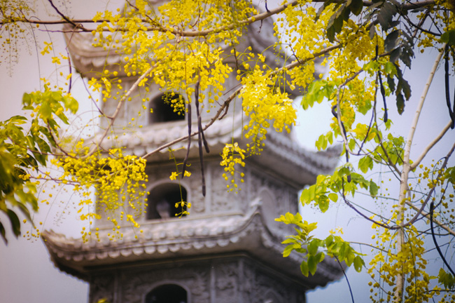 [Image: anh-4-1524471500-width650height432.jpg]