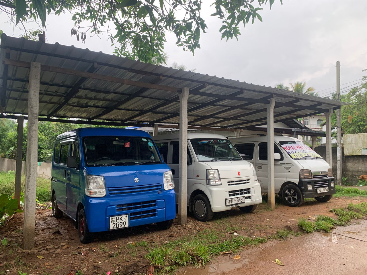 Royal Rent A Car Gallery 5
