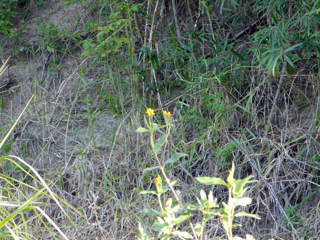DSCN0237.jpg